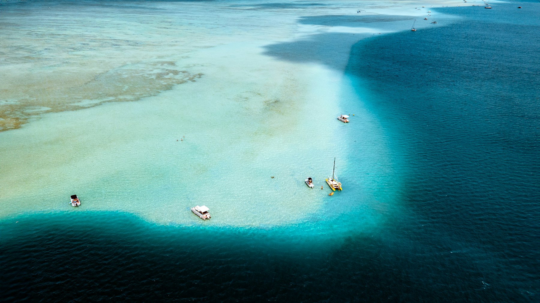 Modern boats anchored in calm turquoise water near a sandbar
